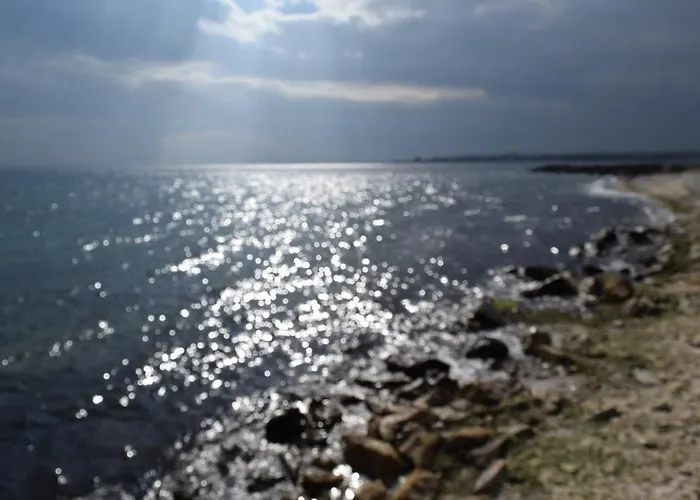 아파트호텔 Chateau Del Marina Complex 4*