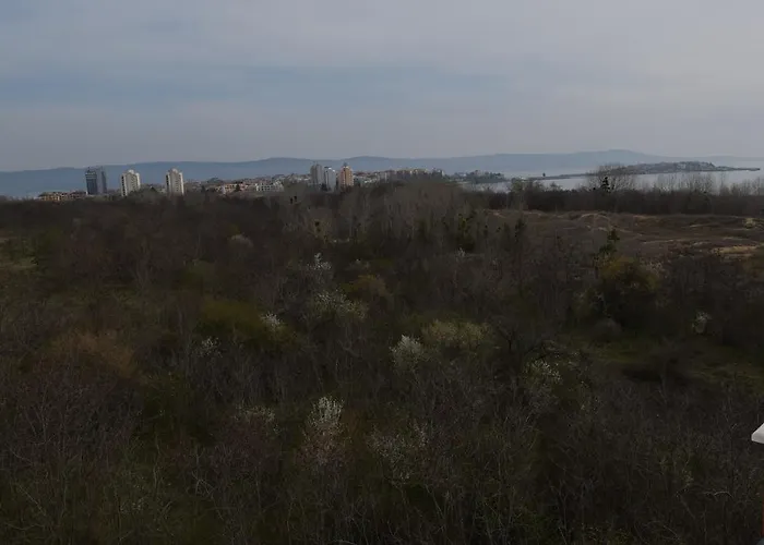 Chateau Del Marina Complex